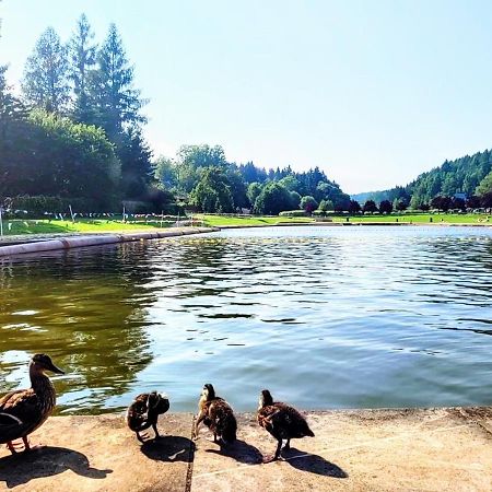 Domek Caloroczny Nad Zalewem U Podnoza Gor Stolowych ラトクフ エクステリア 写真